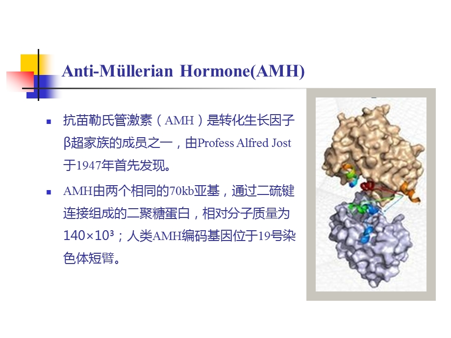 抗苗勒氏管激素(AMH)检测的临床意义ppt课件.ppt_第3页