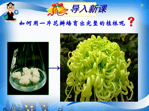 植物细胞工程的基本技术ppt课件.ppt