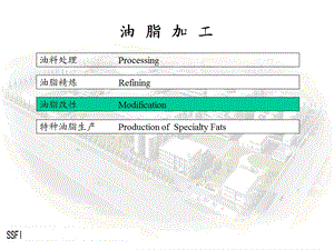 油脂加工与油脂知识ppt课件.ppt