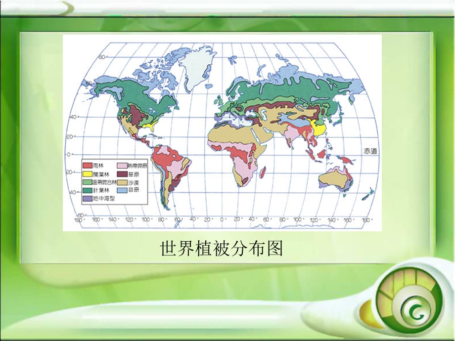 最全世界植被分布规律及类型课件.ppt_第3页