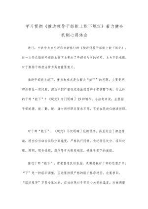 学习贯彻《推进领导干部能上能下规定》着力健全机制心得体会.docx