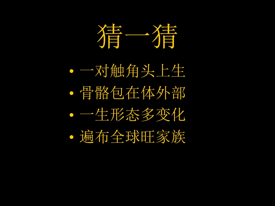 有趣的昆虫ppt课件.ppt_第1页