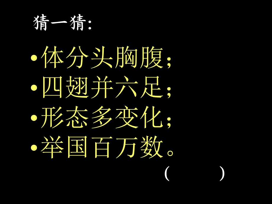 有趣的昆虫ppt课件.ppt_第2页