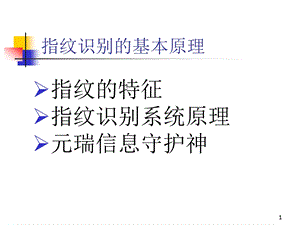 指纹识别原理ppt课件.ppt