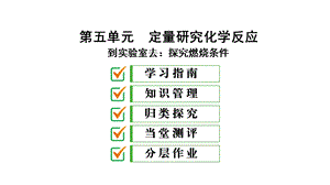 新鲁教版化学九年级PPT课件：到实验室去：探究燃烧的条件.ppt