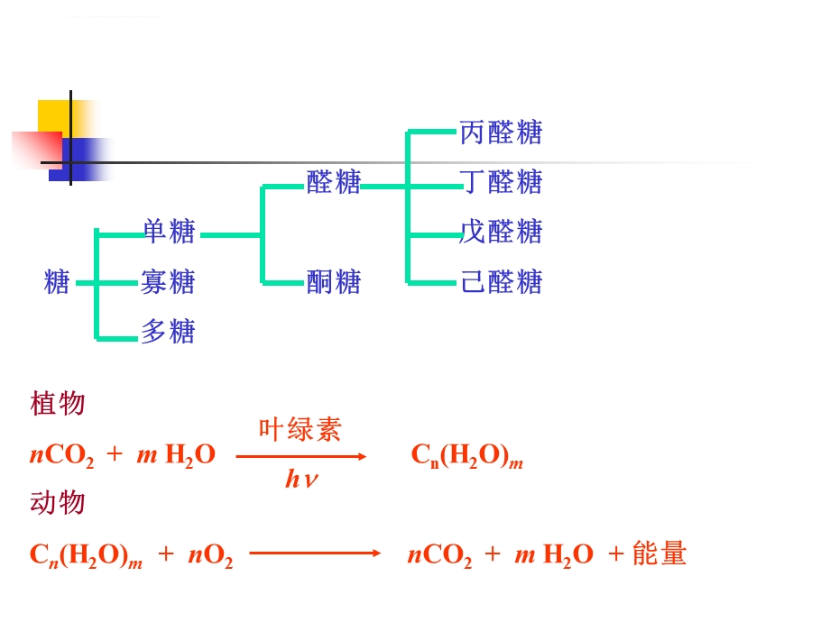 有机化学第14章碳水化合物ppt课件.ppt_第3页