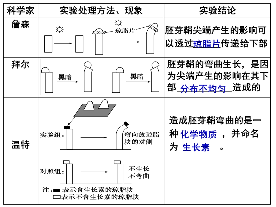 植物的激素调节ppt课件.ppt_第2页