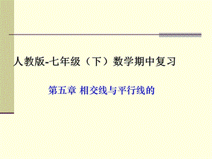 新人教版七年级下册数学期中复习精品PPT课件.ppt