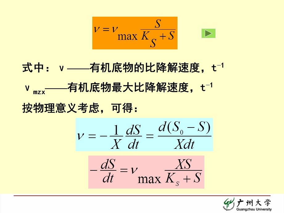 水质工程学活性污泥法42有机底物降解及活性污泥反应动力学基础（课件）.ppt_第2页