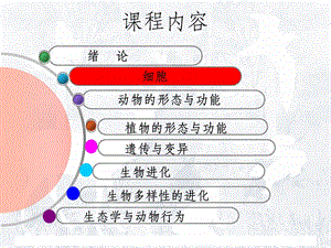 普通生物学第二章生命的化学基础ppt课件.ppt