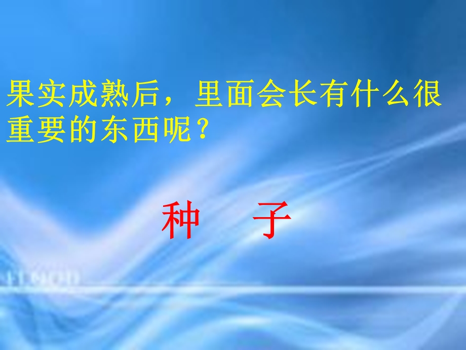 教科版小学科学四年级下册《把种子散播到远处》ppt课件.ppt_第3页