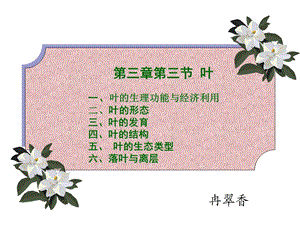 植物学 第三章第三节叶ppt课件.ppt