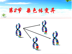 染色体变异公开课ppt课件.pptx