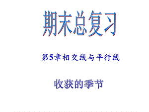 新人教版七年级下期末总复习（第5章相交线与平行线）ppt课件.ppt