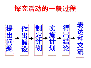 植物对空气湿度的影响ppt课件.ppt