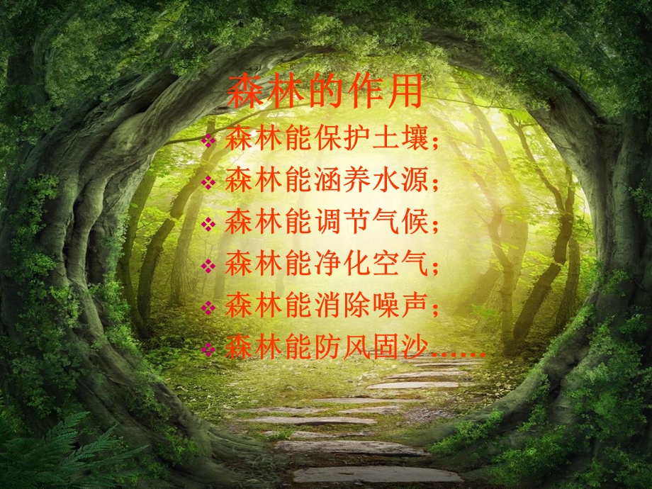 森林防火班会ppt课件精美.ppt_第3页