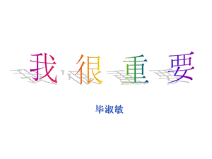 毕淑敏 我很重要ppt课件.ppt