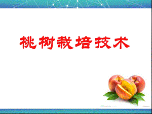 桃树栽培技术ppt课件.ppt