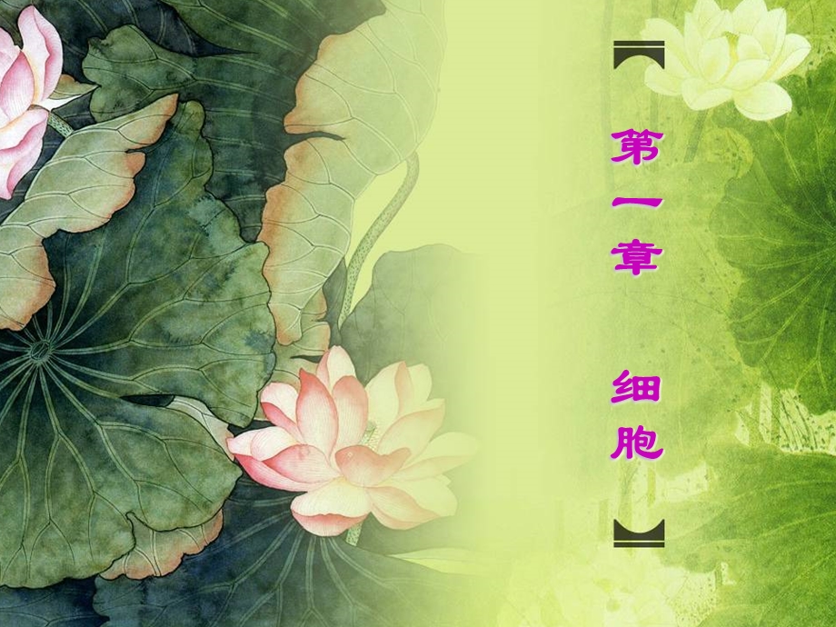 普通生物学 顾德兴ppt课件.ppt_第1页