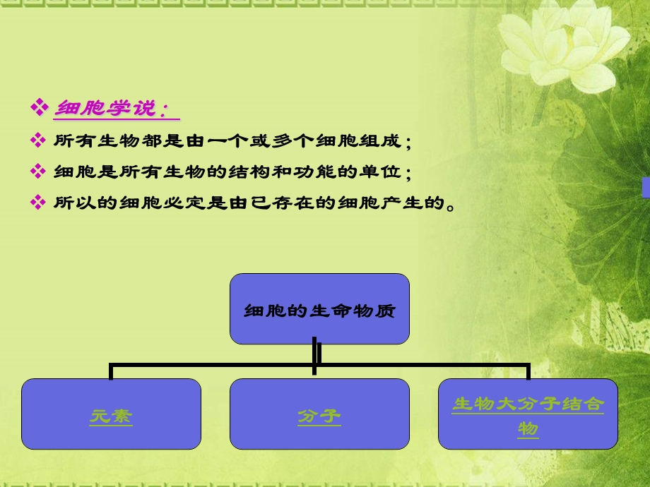 普通生物学 顾德兴ppt课件.ppt_第3页