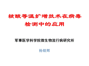 核酸等温扩增 杨银辉ppt课件.ppt