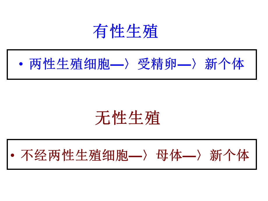 新人教版八年级下册生物复习 ppt课件.ppt_第3页