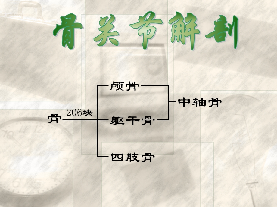 概述常见四肢骨折ppt课件.ppt_第2页