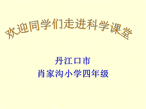 教科版四年级科学《各种各样的岩石》课件.ppt