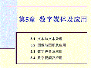 第5章5.1 文本与文本处理ppt课件.ppt