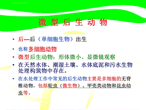 环境微生物学教学ppt课件 7后生动物.ppt