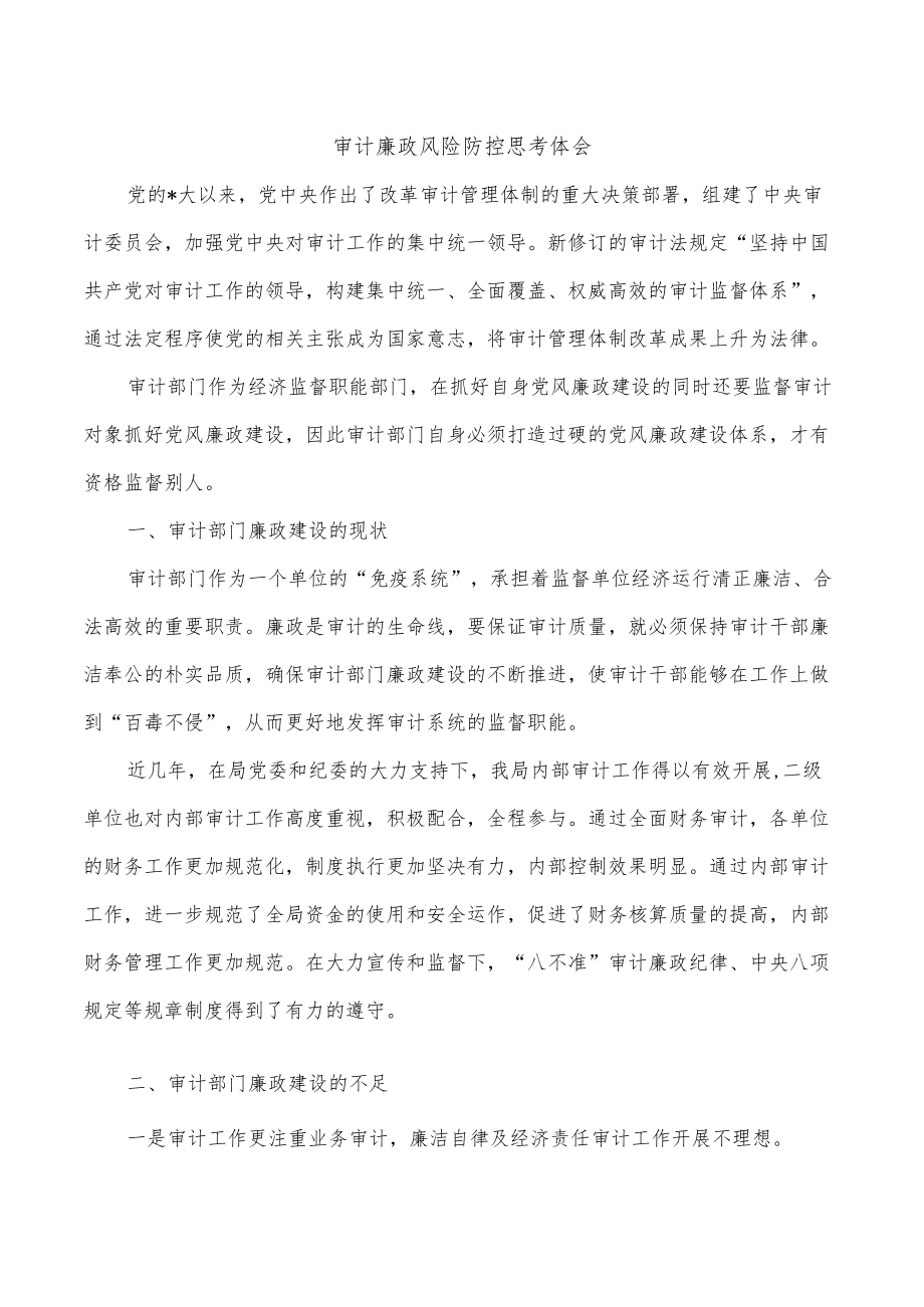 审计廉政风险防控思考体会.docx_第1页