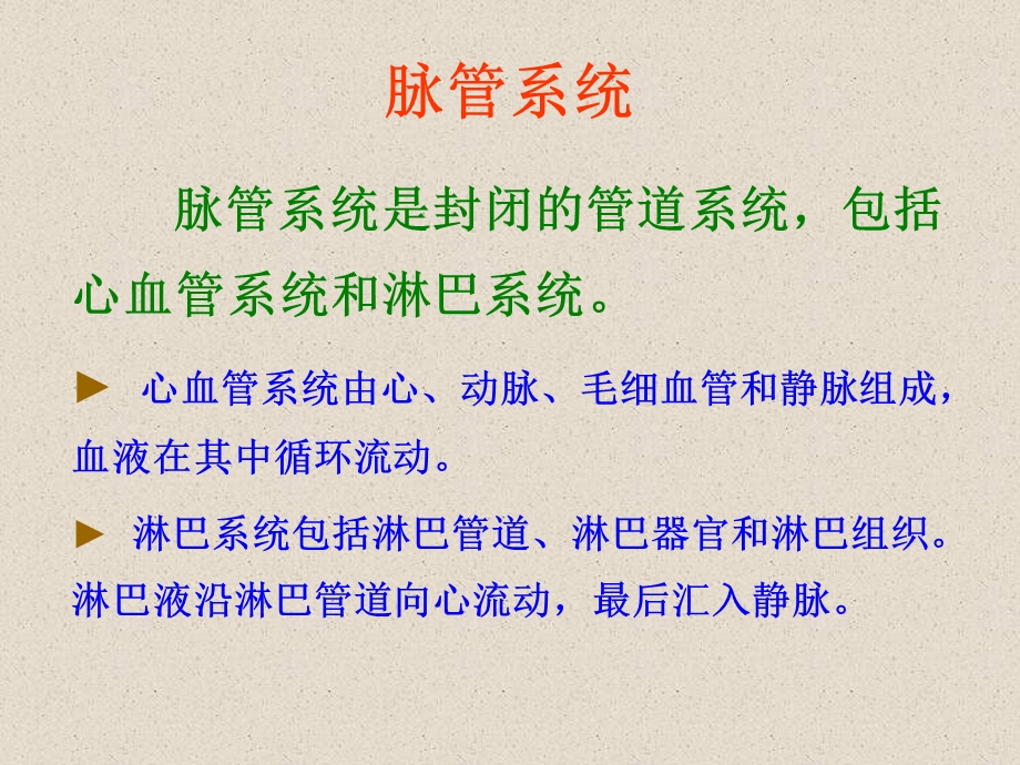 第一二节脉管系统总论动脉ppt课件.ppt_第1页