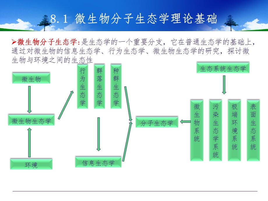 第8章 微生物分子生态学ppt课件.ppt_第3页