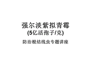 淡紫拟青霉ppt课件.ppt