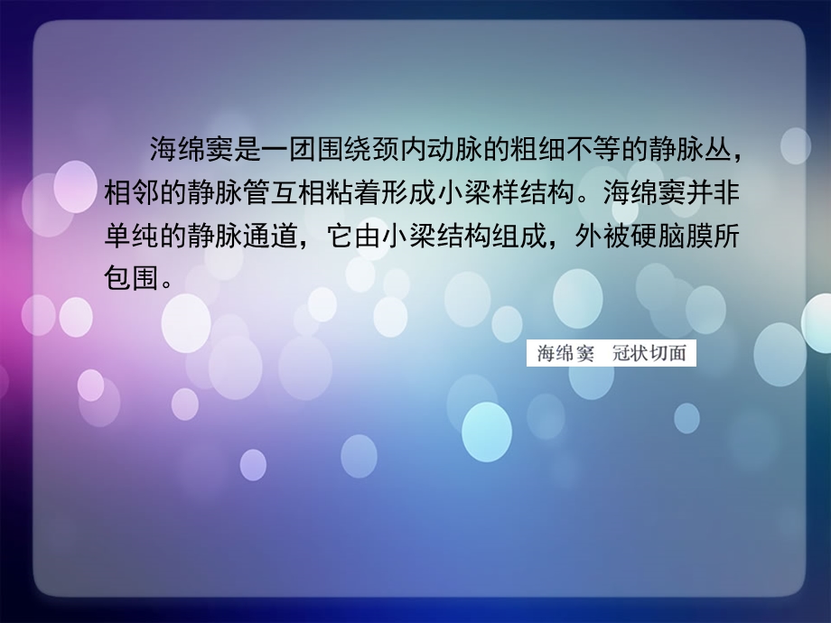 海绵窦的临床解剖ppt课件.ppt_第3页