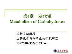 生物化学ppt课件 糖代谢.ppt