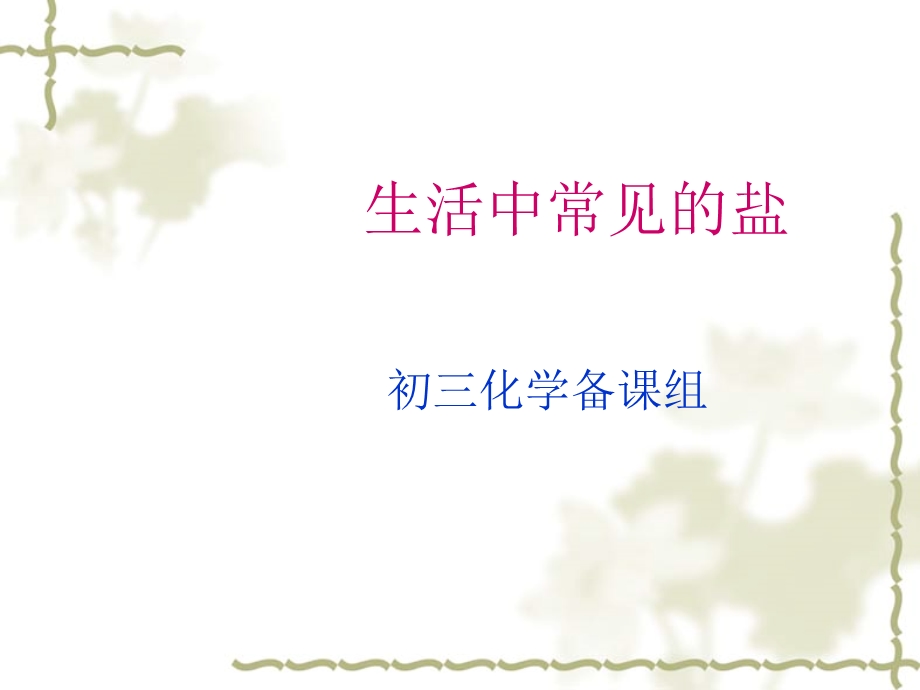 生活中常见的盐ppt课件(优秀版).ppt_第1页