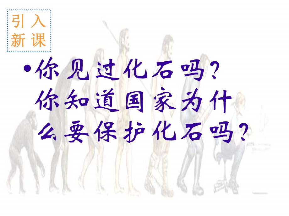 生物进化的历程ppt课件.ppt_第1页