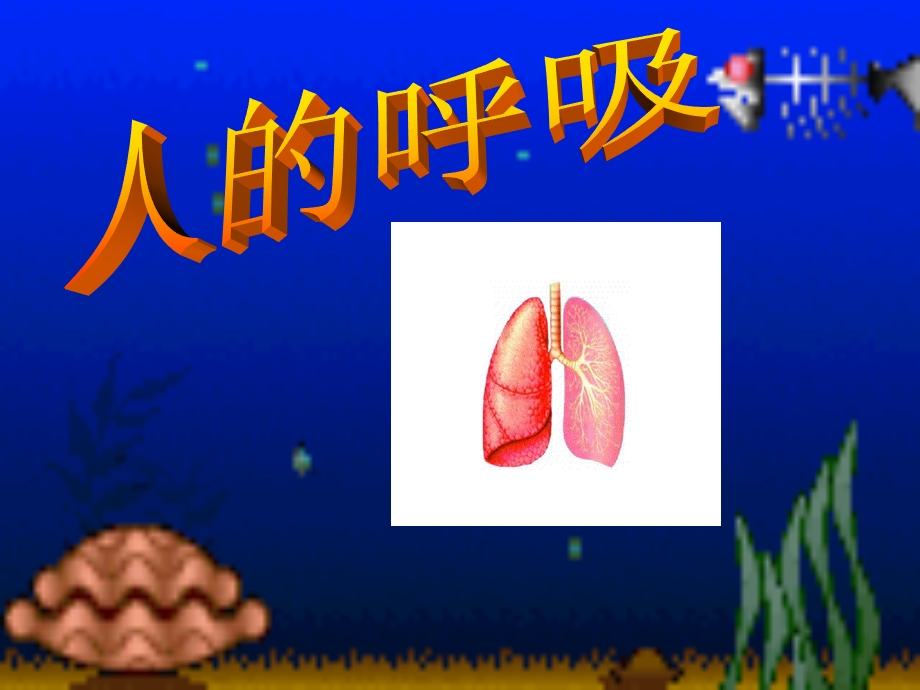 生物：第3章人体的呼吸复习ppt课件(人教版七年级下).ppt_第1页