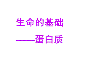 生命的基础——蛋白质ppt课件.ppt