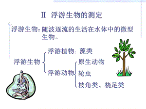 浮游生物的测定常识ppt课件.ppt