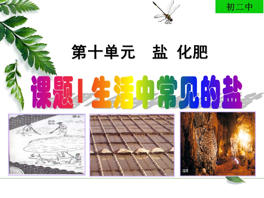 生活中常见的盐教学ppt课件.ppt_第1页