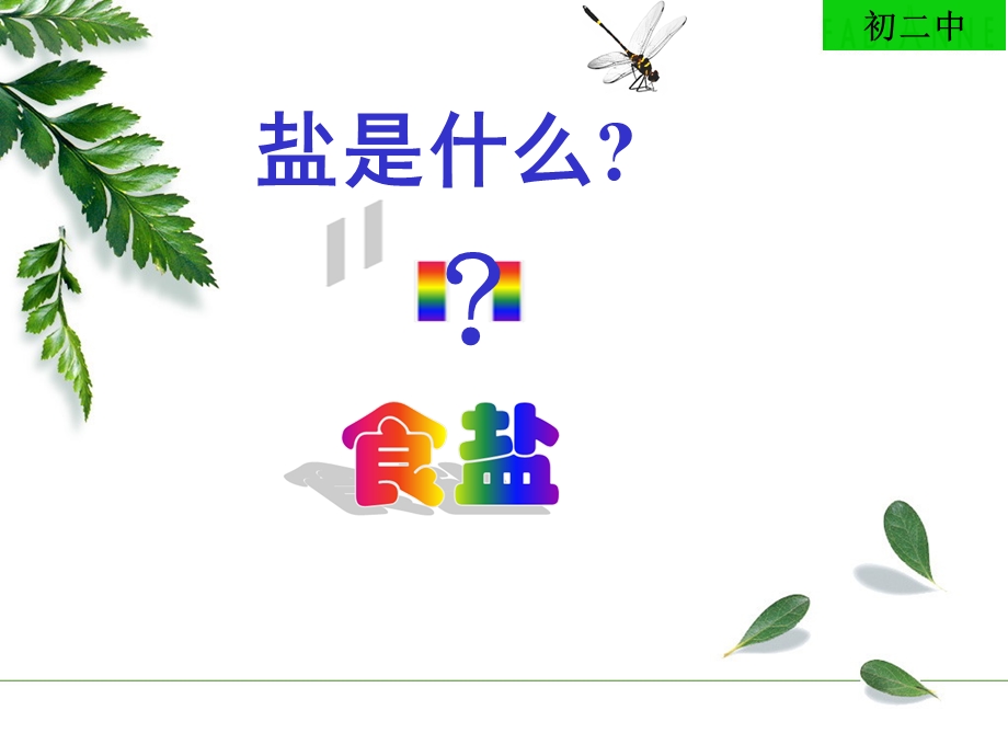 生活中常见的盐教学ppt课件.ppt_第2页