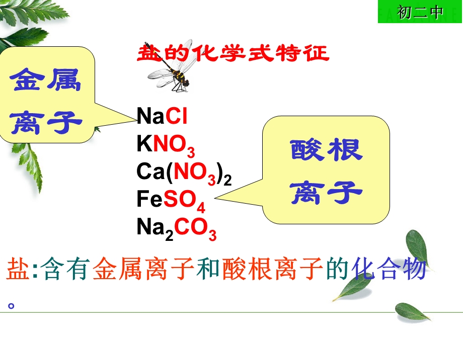 生活中常见的盐教学ppt课件.ppt_第3页