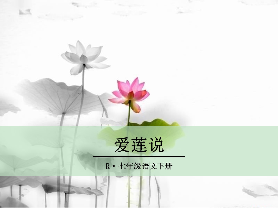 爱莲说 ppt优秀课件.ppt_第1页