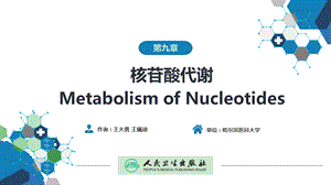 生物化学及分子生物学(人卫第九版) 09核苷酸代谢ppt课件.ppt