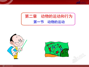 第一节动物的运动ppt课件.ppt