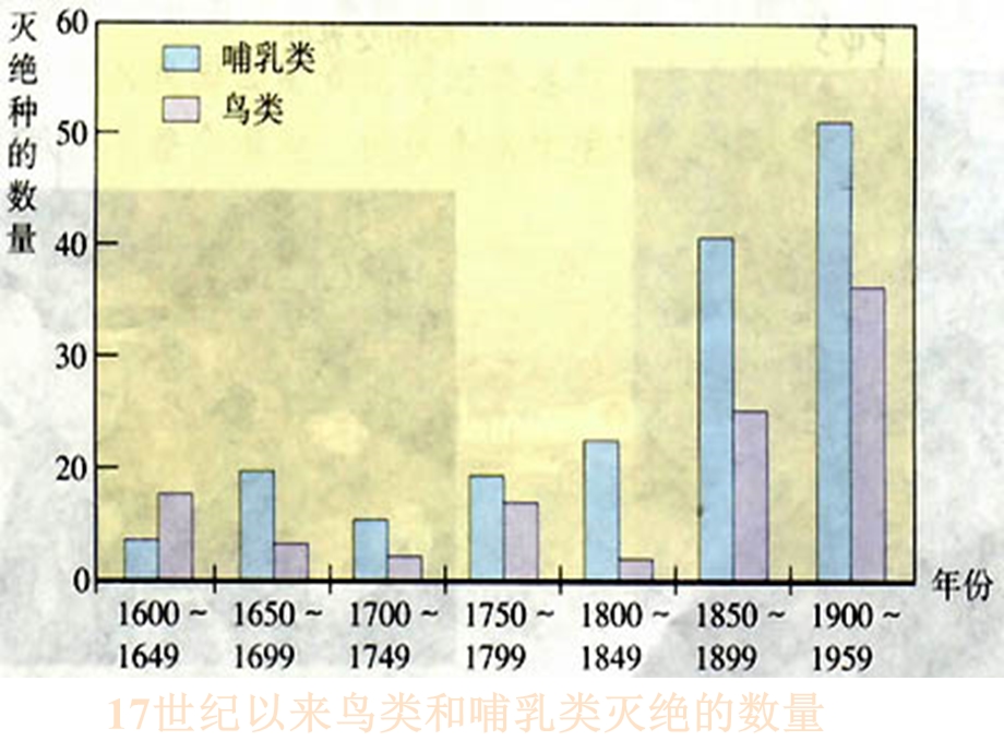 生物：第六单元第三章保护生物多样性复习ppt课件(人教版八年级上).ppt_第3页