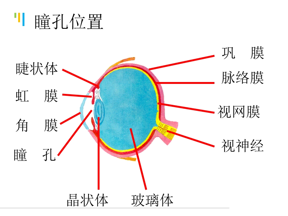 神经外科护理小讲课ppt课件.ppt_第3页