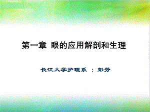 第一章 眼的应用解剖和生理ppt课件.ppt